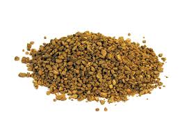 nocciolino da ardere
